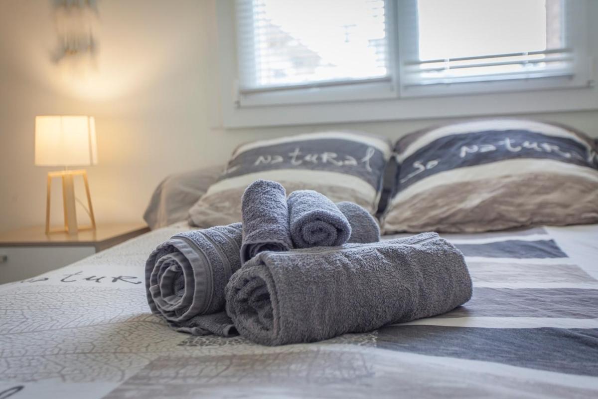 Apartmán Paul Janet Grenoble Exteriér fotografie